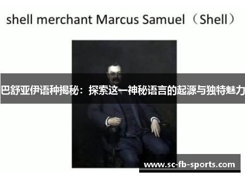 巴舒亚伊语种揭秘：探索这一神秘语言的起源与独特魅力