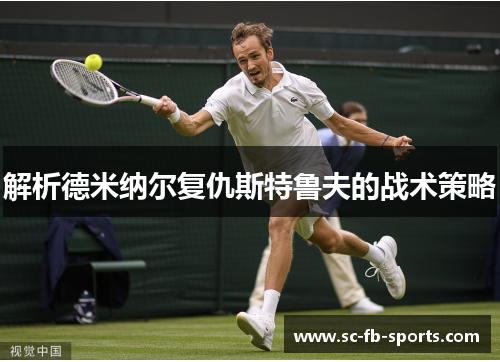 解析德米纳尔复仇斯特鲁夫的战术策略