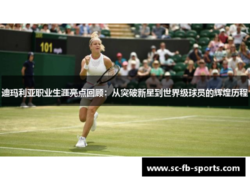 迪玛利亚职业生涯亮点回顾:从突破新星到世界级球员的辉煌历程 迪玛利亚职业生涯亮点回顾:从突破新星到世界级球员的辉煌历程