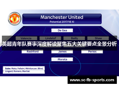 英超青年队赛事深度解读聚焦五大关键要点全景分析 英超青年队赛事深度解读聚焦五大关键要点全景分析