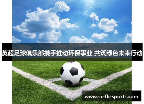 英超足球俱乐部携手推动环保事业 共筑绿色未来行动 英超足球俱乐部携手推动环保事业 共筑绿色未来行动