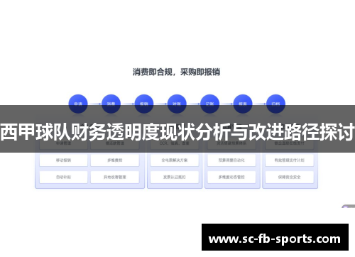 西甲球队财务透明度现状分析与改进路径探讨 西甲球队财务透明度现状分析与改进路径探讨
