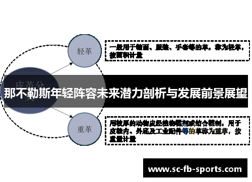 那不勒斯年轻阵容未来潜力剖析与发展前景展望