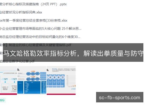 马文哈格勒效率指标分析,解读出拳质量与防守 马文哈格勒效率指标分析,解读出拳质量与防守